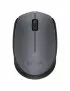 Souris Logitech Wireless Mouse M170 Noir Logitech - 1