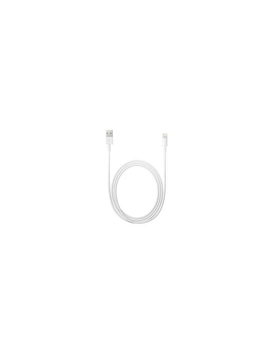 Cable USB vers Lightning Apple 2M Blanc pour iPhone/iPad CAUSB_AP-MD819ZM/A - 1