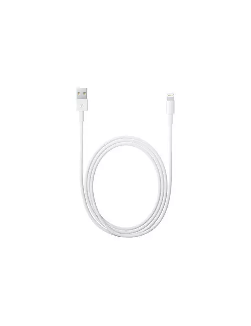 Cable USB vers Lightning Apple 2M Blanc pour iPhone/iPad CAUSB_AP-MD819ZM/A - 1 Cable USB vers Lightning Apple 2M Blanc pour iPhone/iPad CAUSB_AP-MD819ZM/A - 1