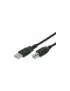 Cable USB 2.0 Type A vers B pour Imprimante 5m CAUSB_A/B_5M - 1