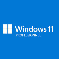 Microsoft Windows 11 Professionnel 64 Bits OEM 1 PC Fr - 1