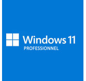 Microsoft Windows 11 Professionnel 64 Bits OEM 1 PC Fr