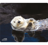 Tapis Speedlink SILK OTTER 230x190x1.5mm