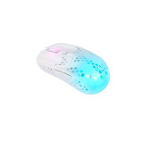 Souris Cherry Xtrfy MZ1 Zy's Rail RGB Wireless Blanc 19 000dpi Souris Cherry Xtrfy MZ1 Zy's Rail RGB Wireless Blanc 19 000dpi