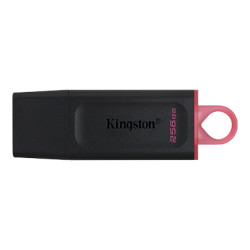 Clé USB 3.2 256Go Kingston DataTraveler Exodia