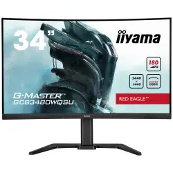 Ecran iiyama G-Master...