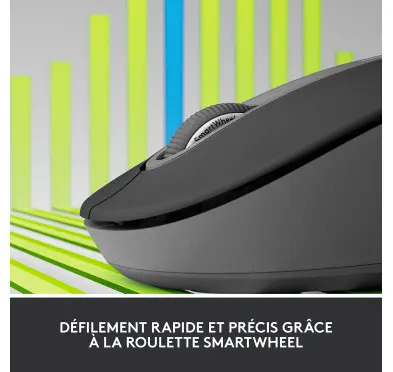 Souris Logitech Signature M650 L Graphite Bluetooth