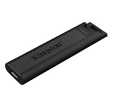 Clé USB Type C 3.2 256Go Kingston DataTraveler Max