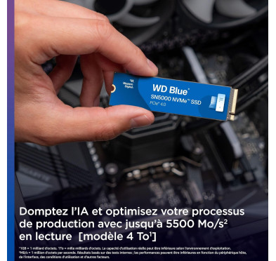 SSD 500Go WD Blue SN5000 M.2 NVMe PCIe 4.0
