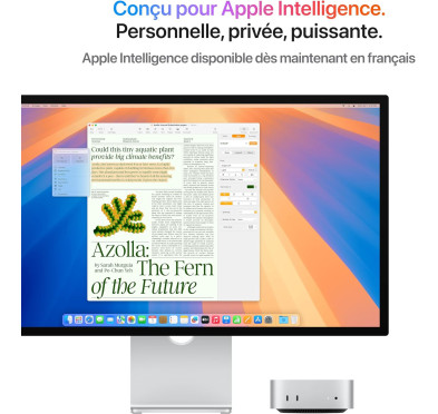 Apple Mac Mini M4 10Core 16Go 512Go (MU9E3FN/A)