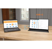 Ecran Portable iiyama 15.6" P1671HSC-B1 1920x1080 USB Type-C mHMDI