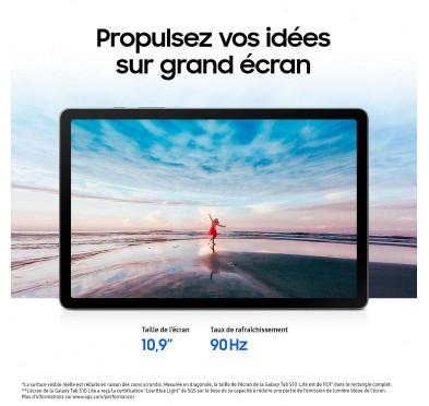 Tablette Samsung Galaxy Tab S10 Lite (X400N)10.9" 128Go Gris