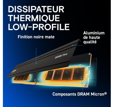 DDR5 Crucial PRO Kit 64Go 2x32Go 5600Mhz CL46 EXPO XMP