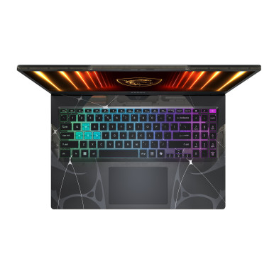 PC MSI CYBORG 15 B13WFKG 15.6" i7-13620H 16Go 512Go RTX5060 W11P-