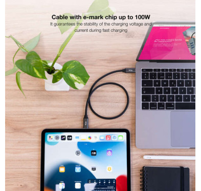 Cable USB Type-C vers Type-C 3.2 PD 100W Nanocable 2M Noir