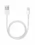 Cable USB vers Lightning Apple 0.5M Blanc pour iPhone/iPad CAUSB_AP-ME291ZM/A - 1